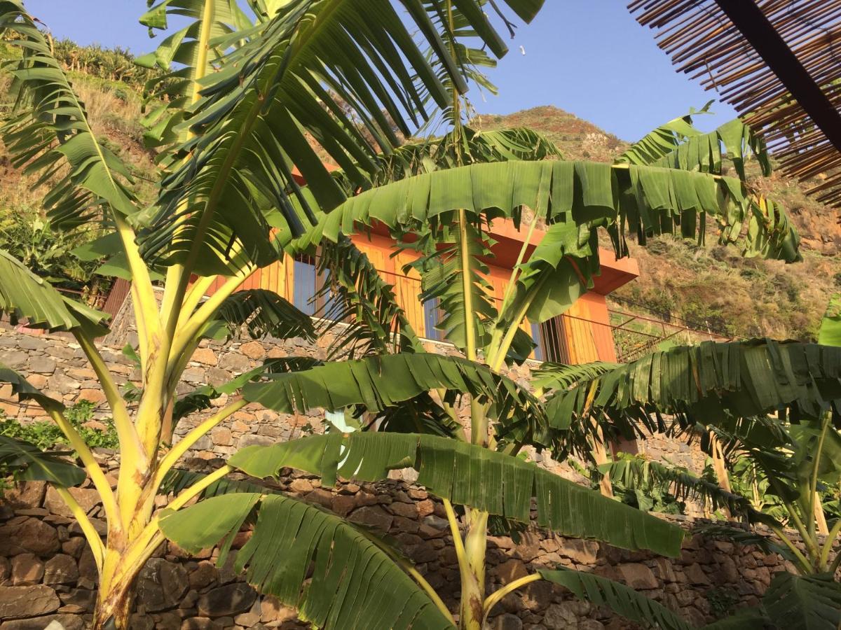 阿科达卡列塔Mango House别墅 外观 照片